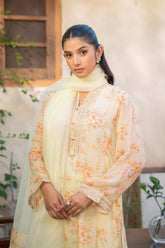 3 Piece Suit Chiffon Suit (FR1062)